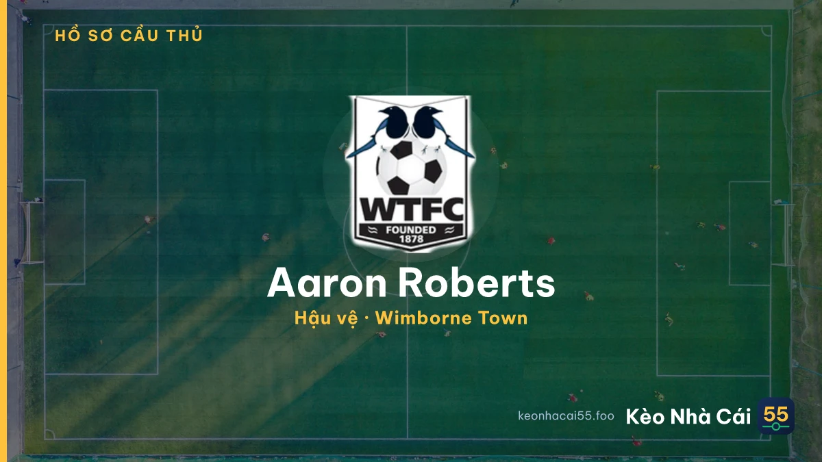 Aaron Roberts — Wimborne Town