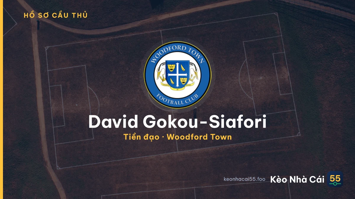 David Gokou-Siafori — Woodford Town