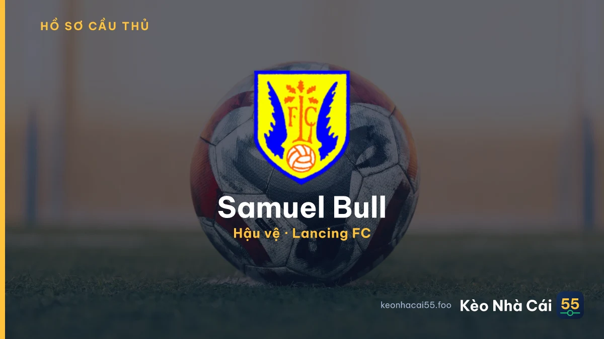 Samuel Bull — Lancing FC