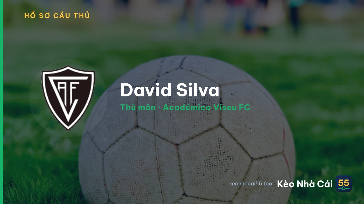 David Silva — Académico Viseu FC