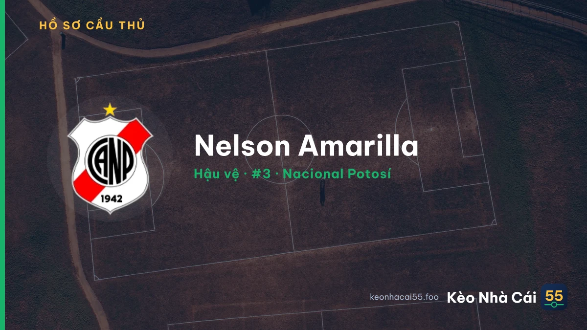 Nelson Amarilla — Nacional Potosí