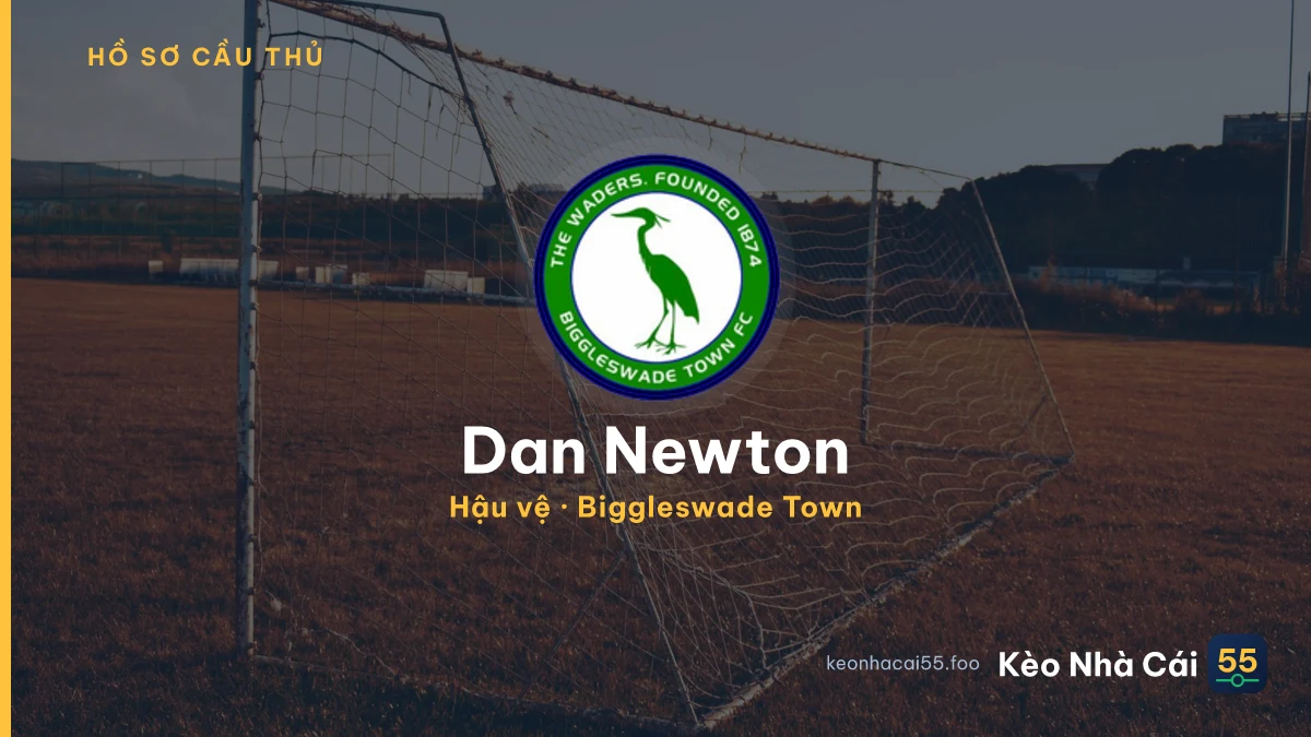 Dan Newton — Biggleswade Town
