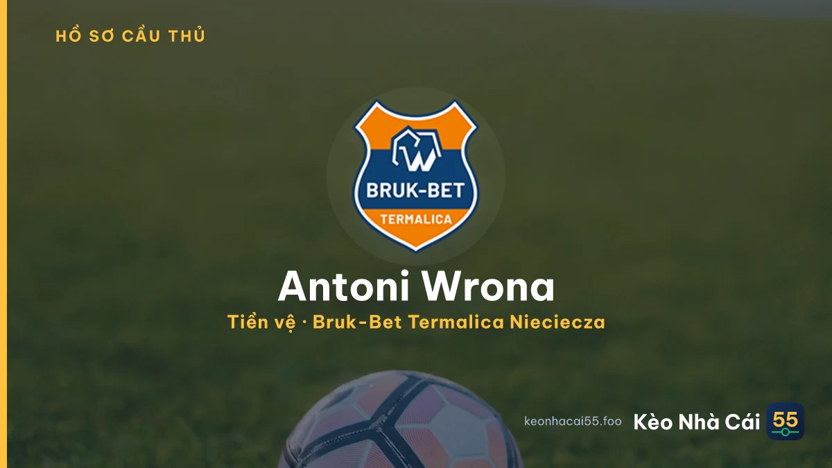 Antoni Wrona — Bruk-Bet Termalica Nieciecza