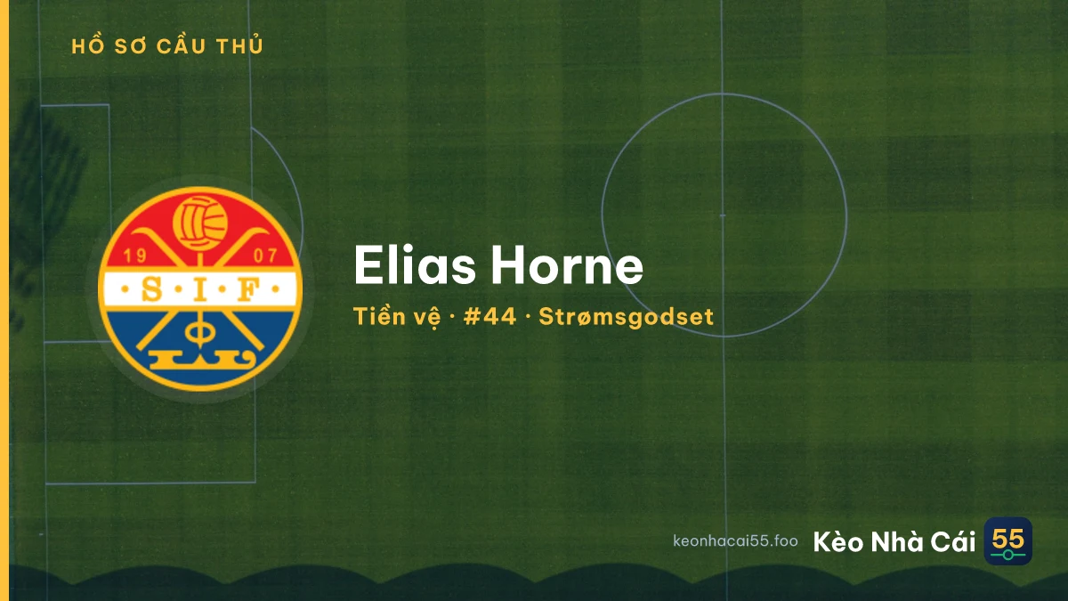 Elias Horne — Strømsgodset