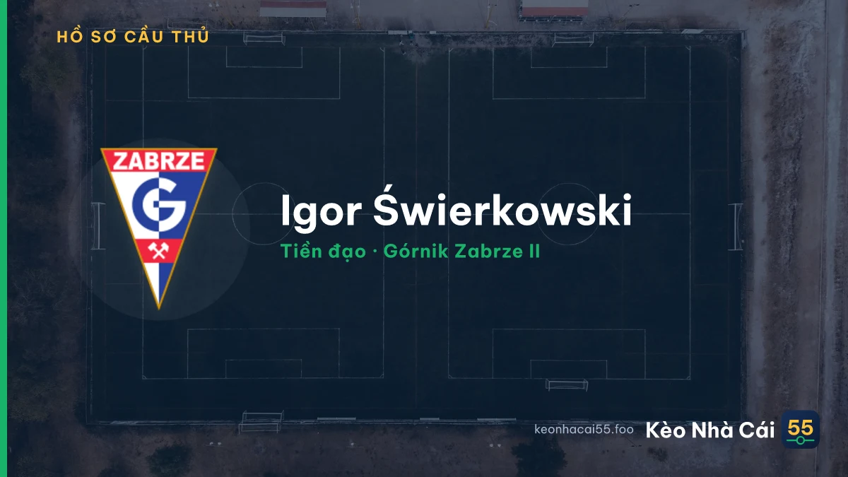 Igor Świerkowski — Górnik Zabrze II