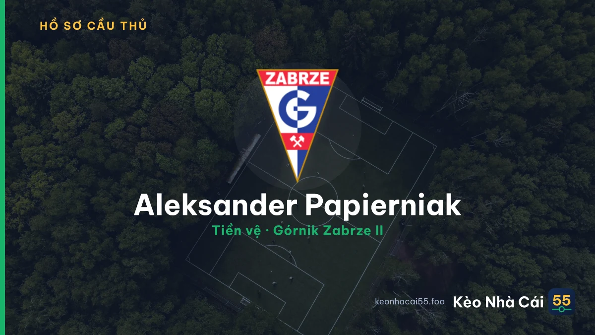 Aleksander Papierniak — Górnik Zabrze II
