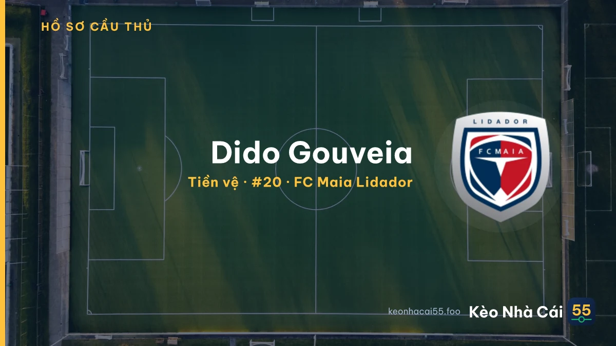Dido Gouveia — FC Maia Lidador