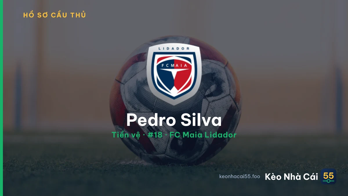 Pedro Silva — FC Maia Lidador