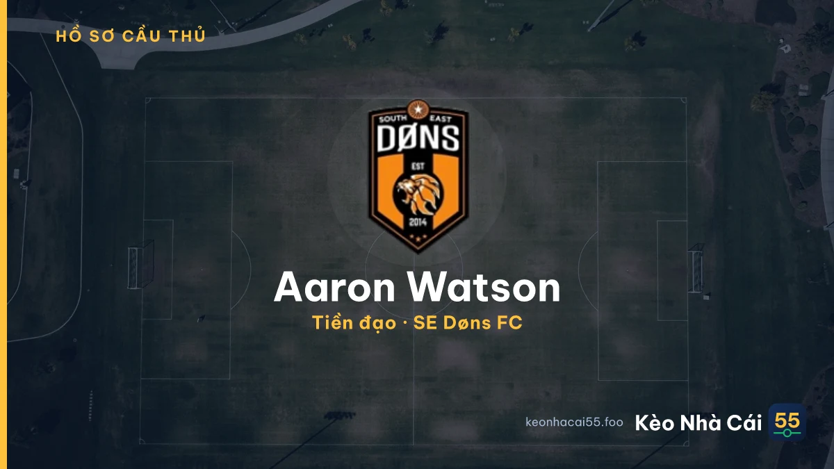 Aaron Watson — SE Døns FC