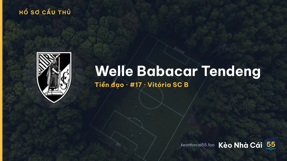 Welle Babacar Tendeng — Vitória SC B