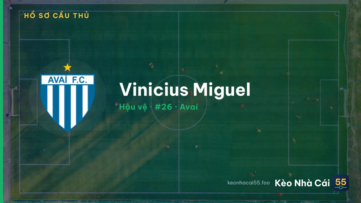 Vinicius Miguel — Avaí