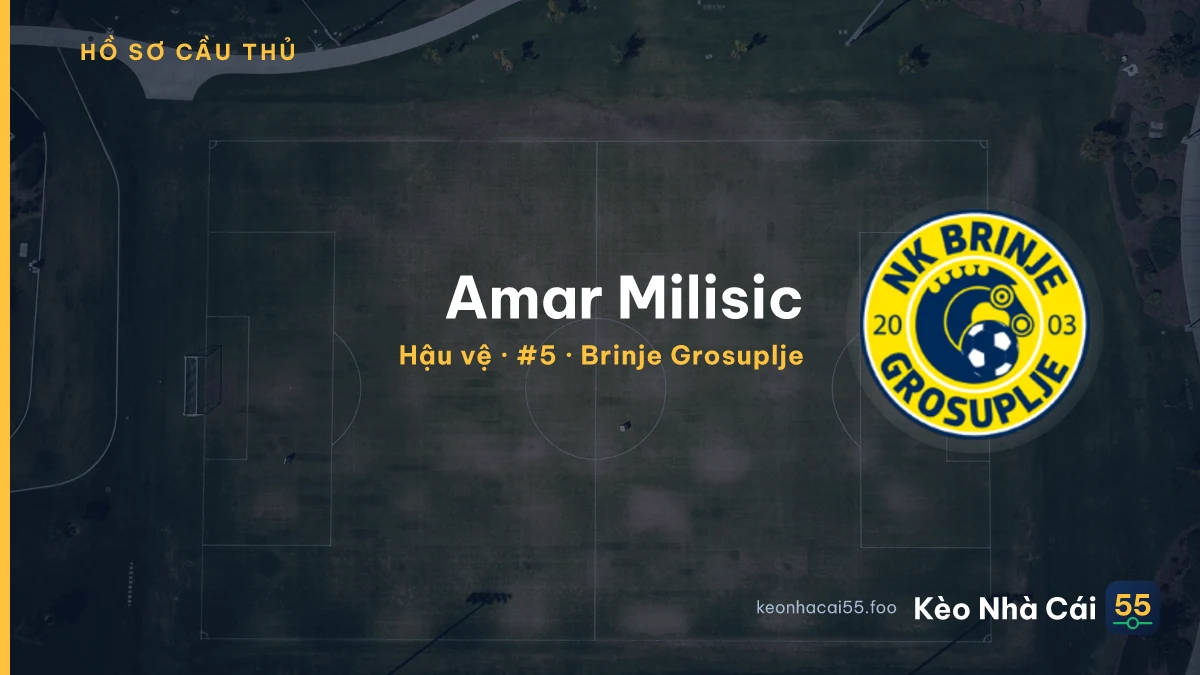 Amar Milisic — Brinje Grosuplje