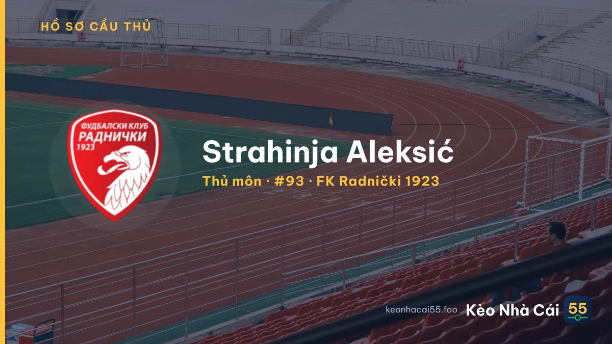 Strahinja Aleksić — FK Radnički 1923