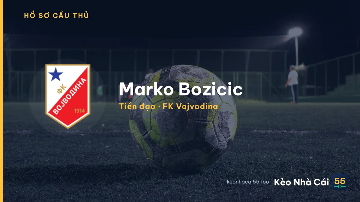 Marko Bozicic — FK Vojvodina