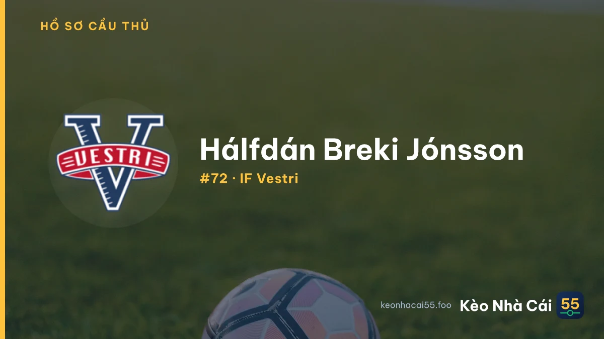Hálfdán Breki Jónsson — IF Vestri