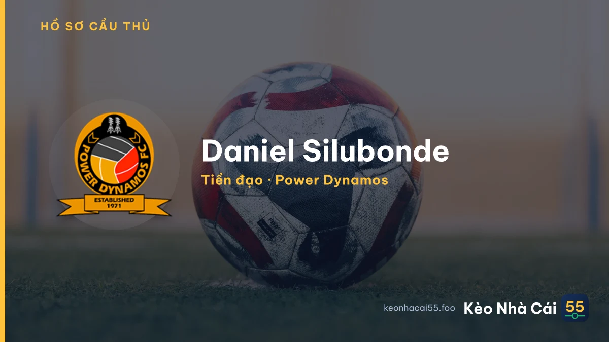 Daniel Silubonde — Power Dynamos