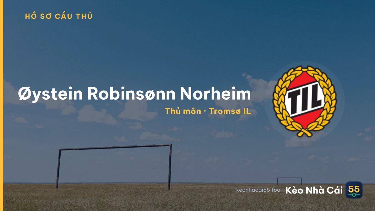 Øystein Robinsønn Norheim — Tromsø IL