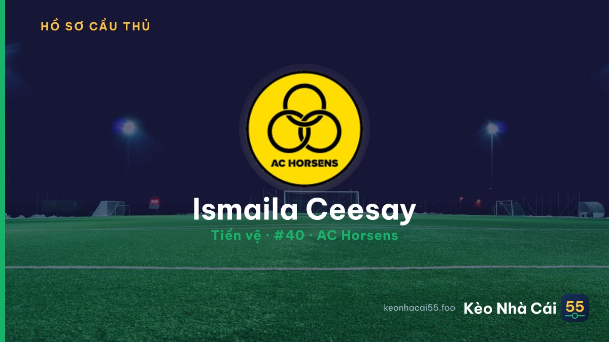 Ismaila Ceesay — AC Horsens