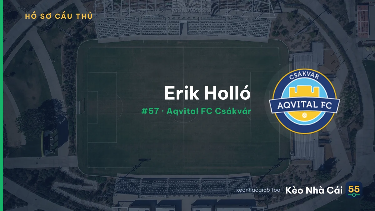 Erik Holló — Aqvital FC Csákvár
