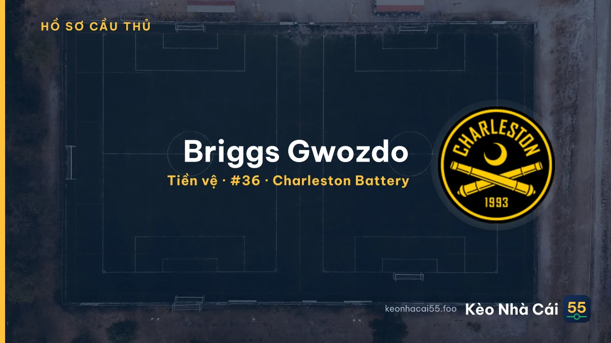 Briggs Gwozdo — Charleston Battery