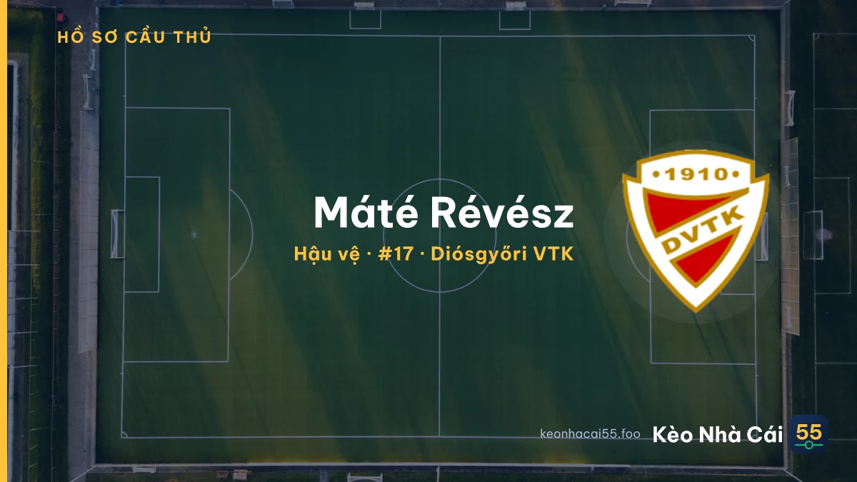 Máté Révész — Diósgyőri VTK