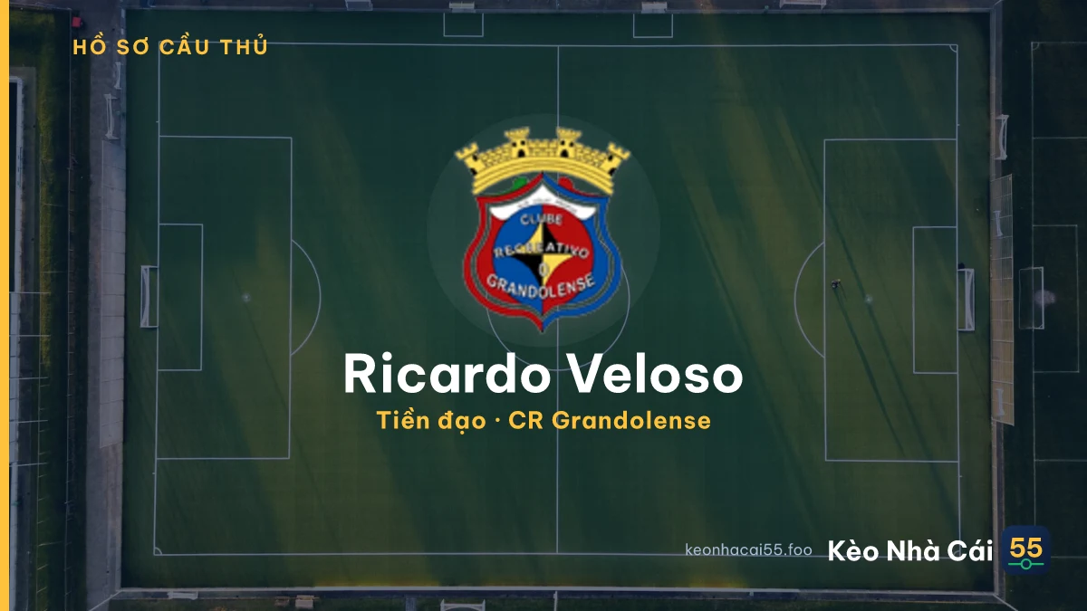 Ricardo Veloso — CR Grandolense
