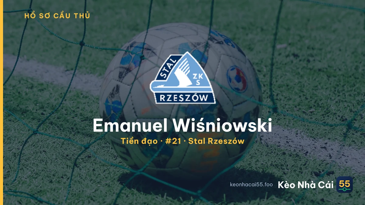 Emanuel Wiśniowski — Stal Rzeszów