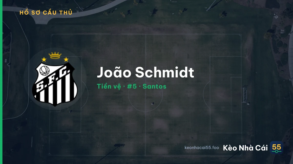 João Schmidt — Santos