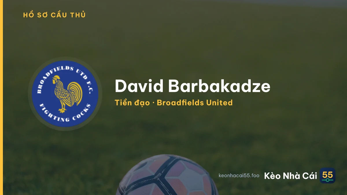 David Barbakadze — Broadfields United