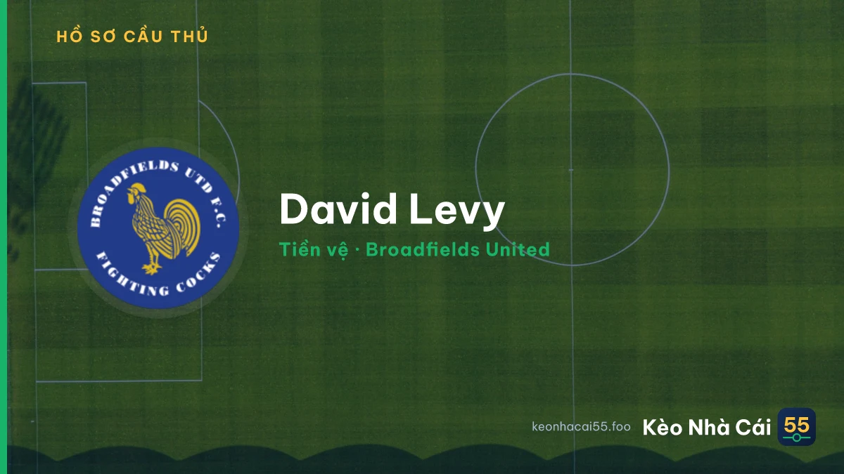 David Levy — Broadfields United