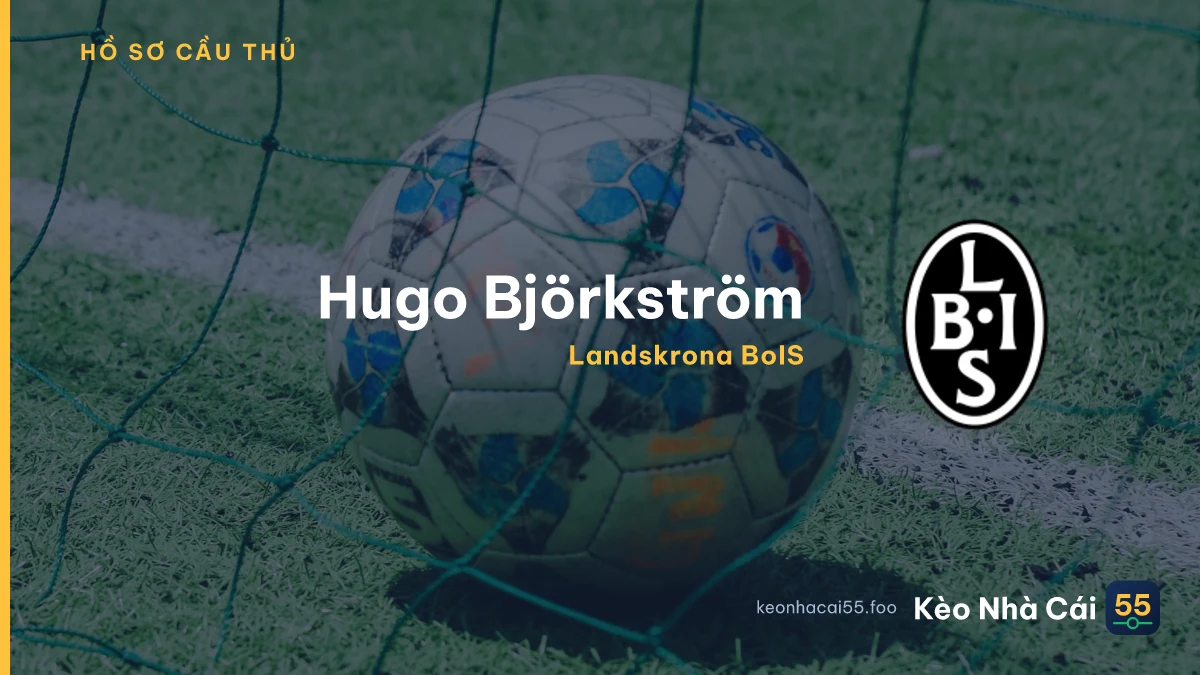 Hugo Björkström — Landskrona BoIS