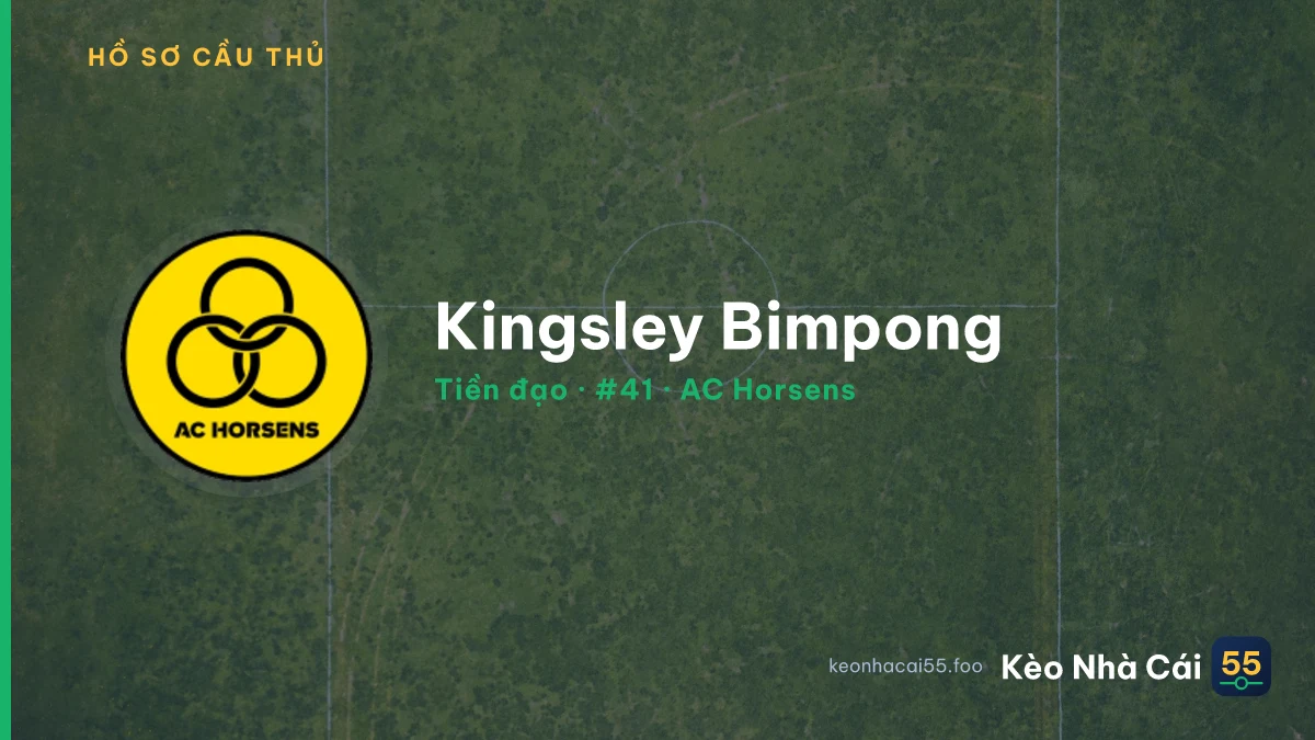 Kingsley Bimpong — AC Horsens