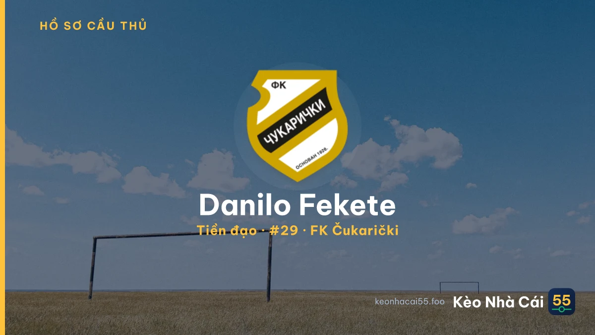 Danilo Fekete — FK Čukarički