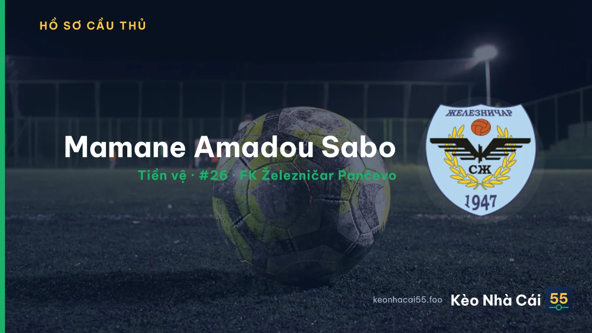 Mamane Amadou Sabo — FK Železničar Pančevo