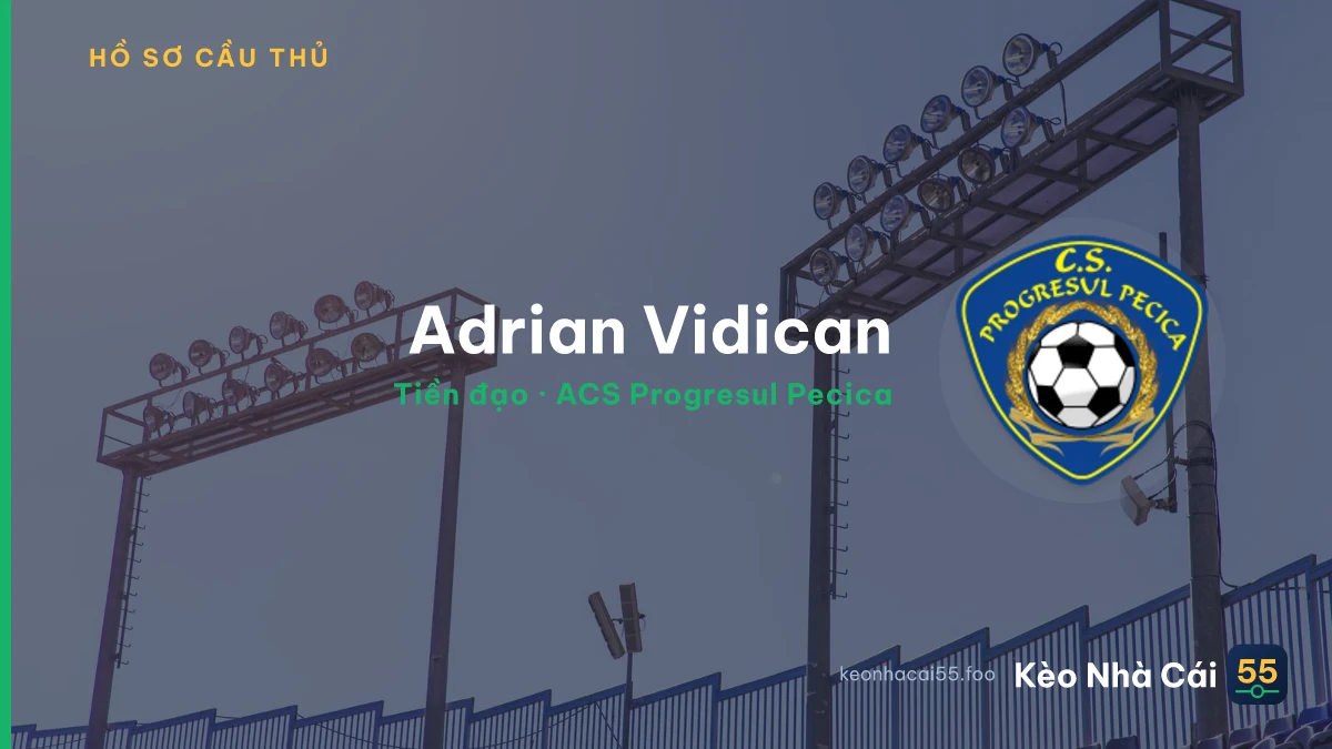 Adrian Vidican — ACS Progresul Pecica