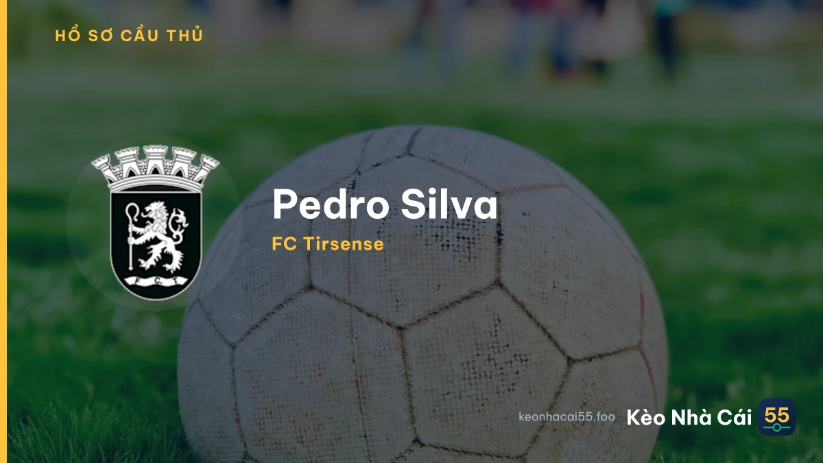 Pedro Silva — FC Tirsense
