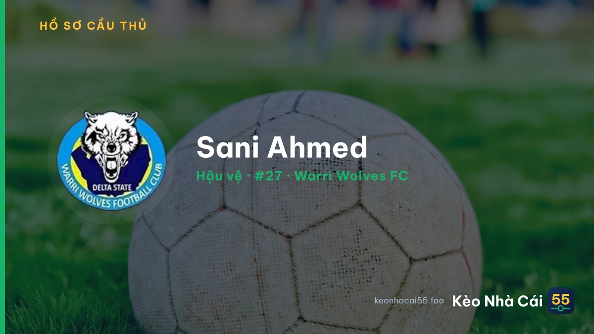 Sani Ahmed — Warri Wolves FC