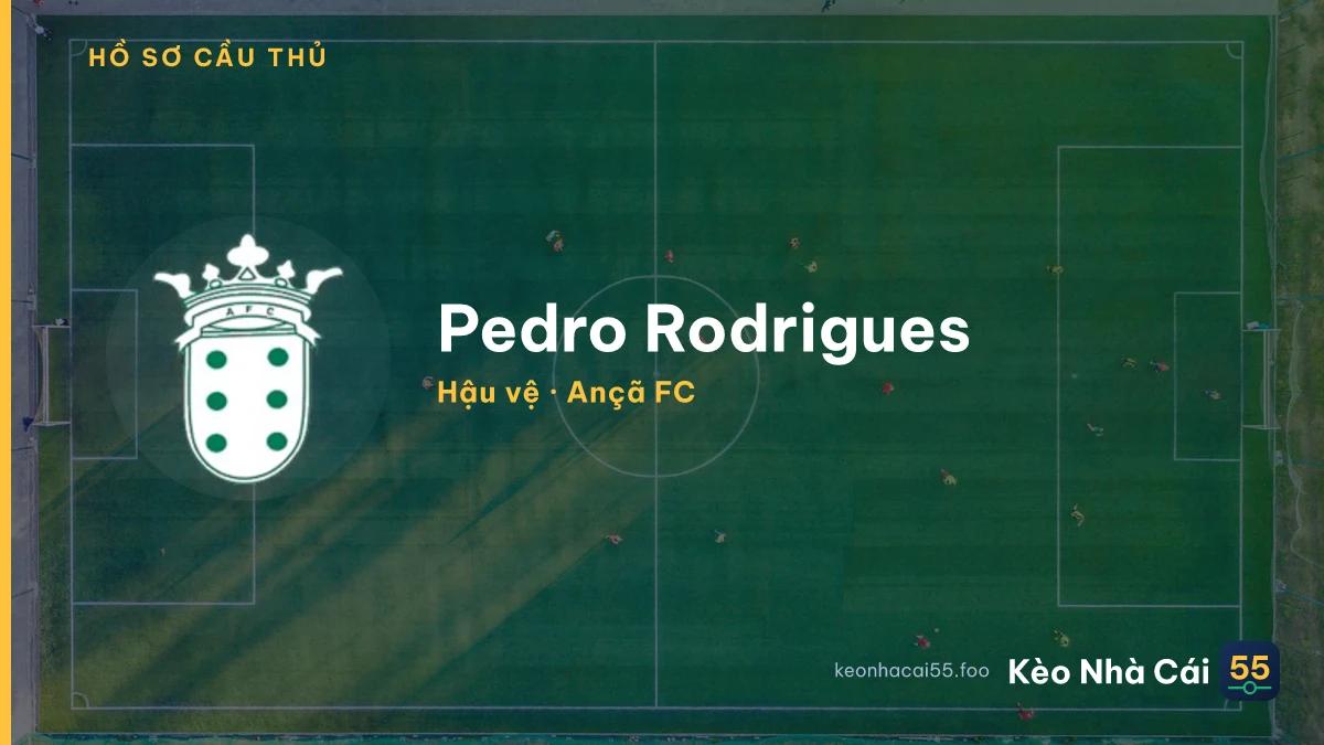 Pedro  Rodrigues — Ançã FC