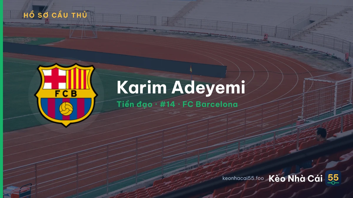 Karim Adeyemi — FC Barcelona