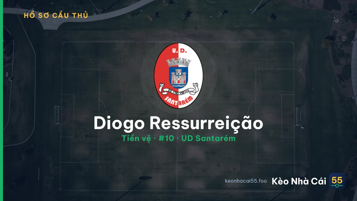 Diogo Ressurreição — UD Santarém