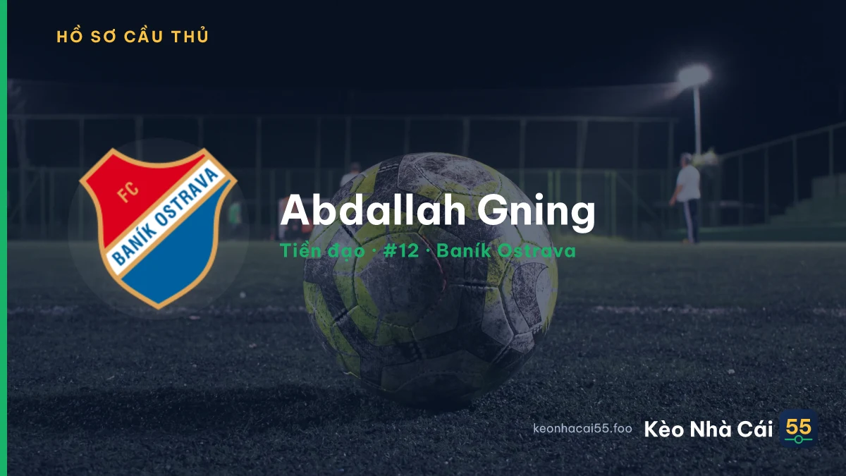 Abdallah Gning — Baník Ostrava