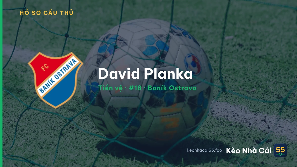 David Planka — Baník Ostrava