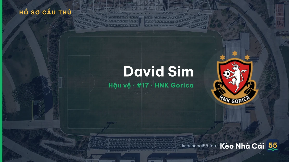 David Sim — HNK Gorica