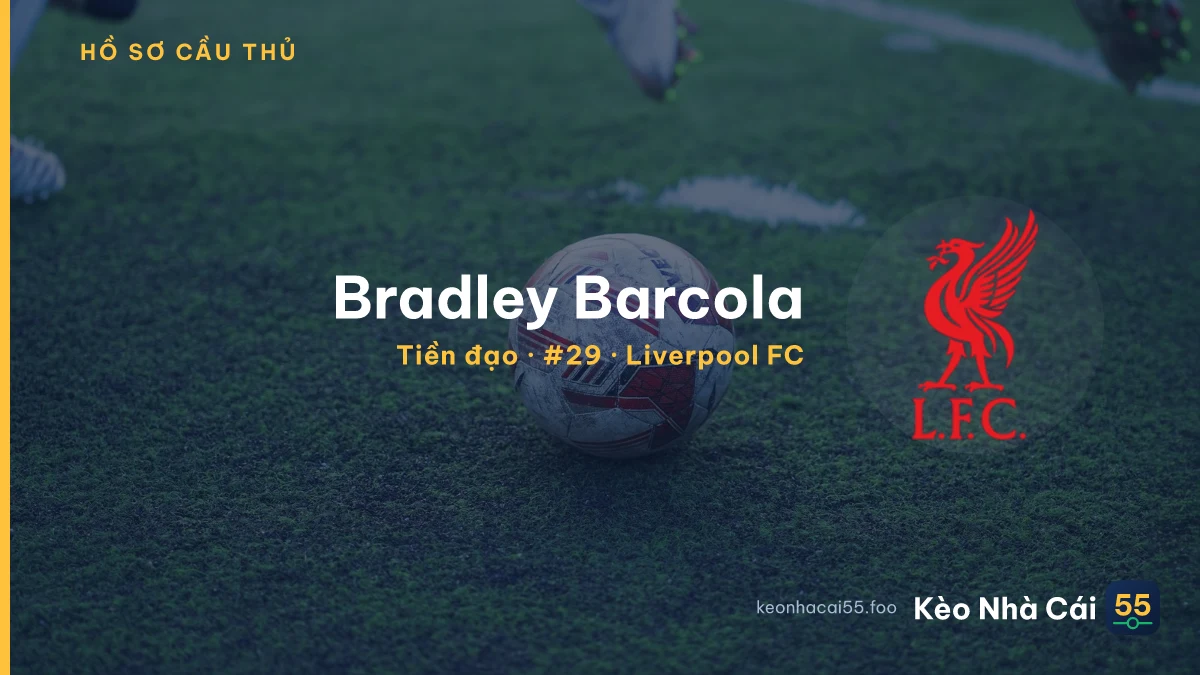 Bradley Barcola — Liverpool FC