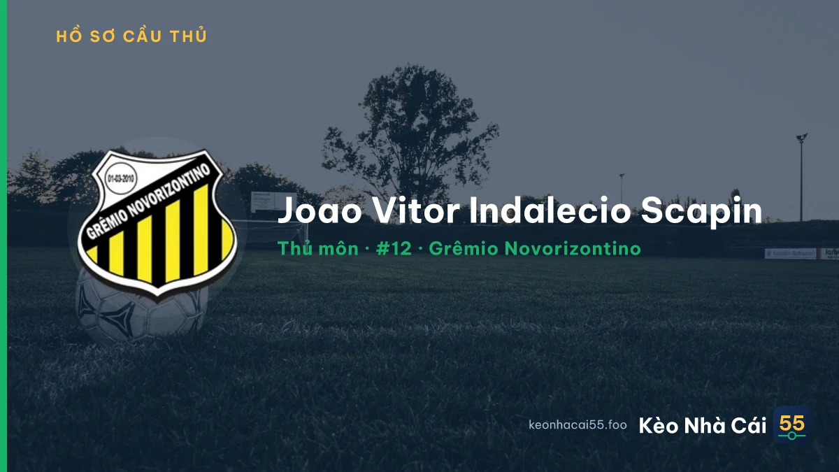 Joao Vitor Indalecio Scapin — Grêmio Novorizontino