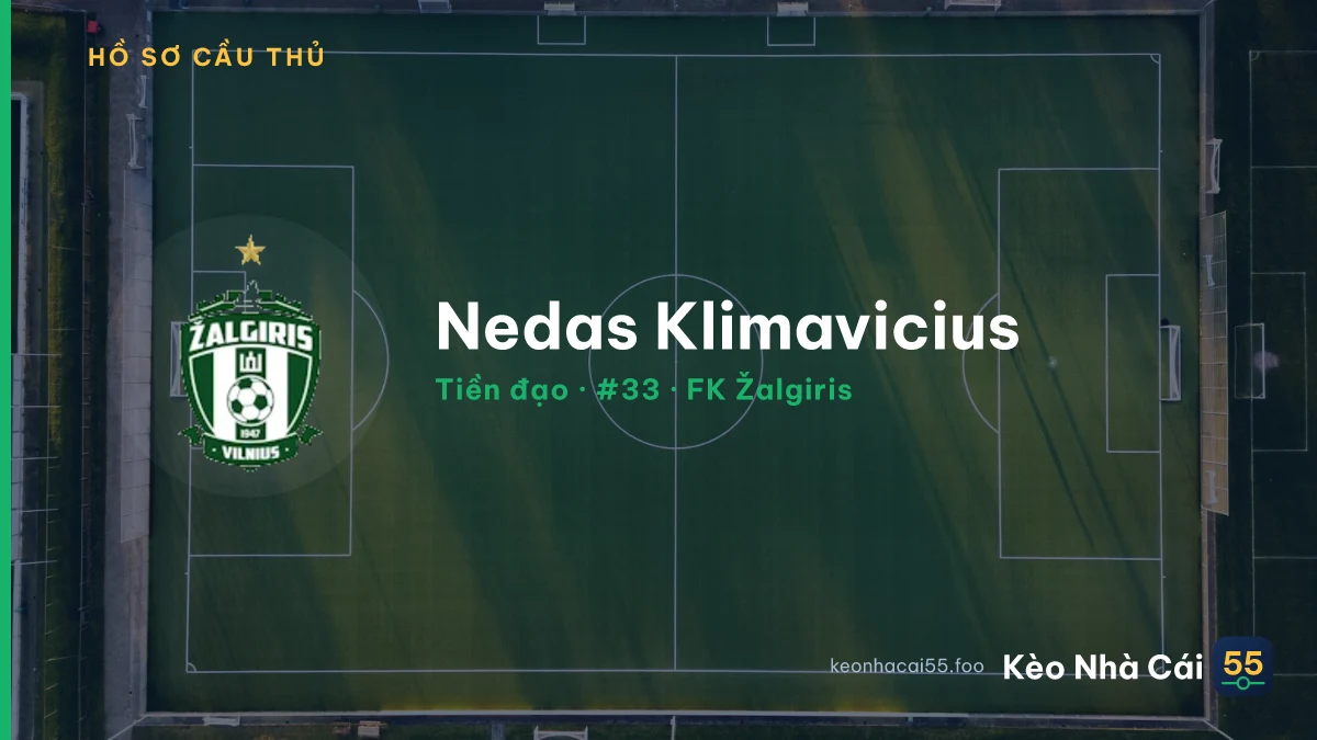 Nedas Klimavicius — FK Žalgiris