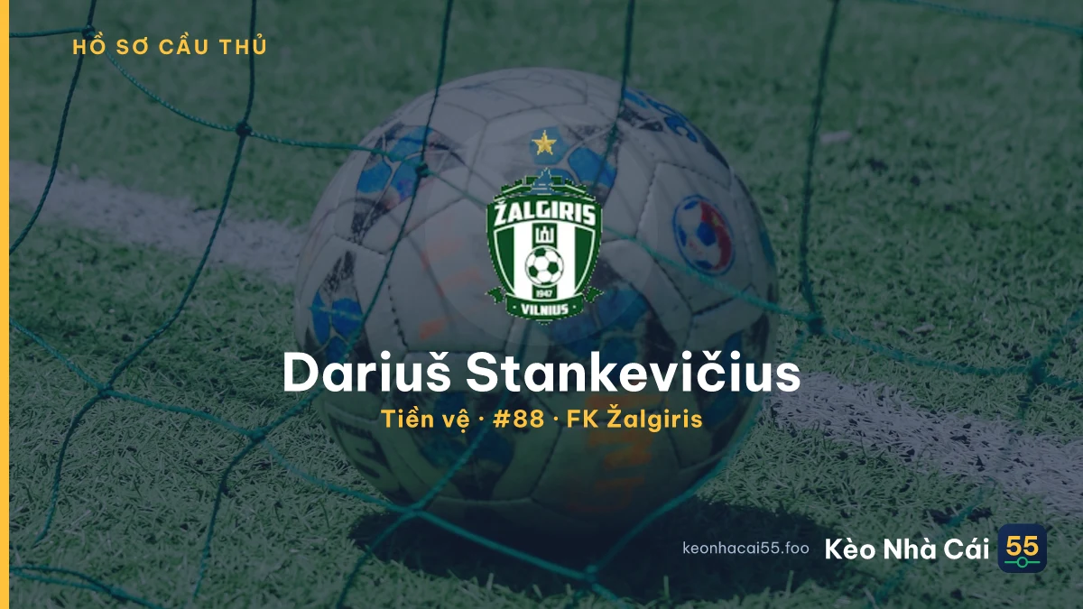 Dariuš Stankevičius — FK Žalgiris