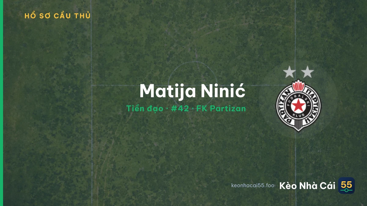 Matija Ninić — FK Partizan