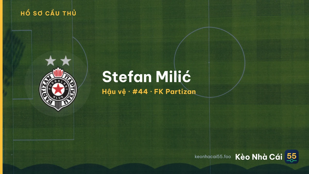 Stefan Milić — FK Partizan