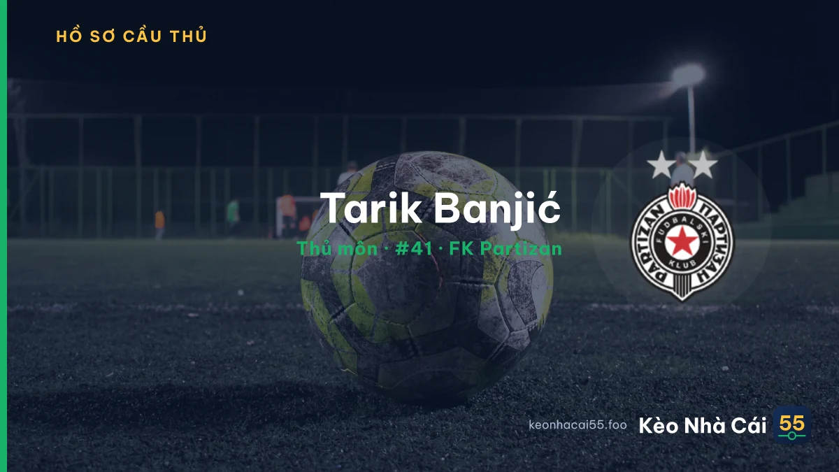 Tarik Banjić — FK Partizan